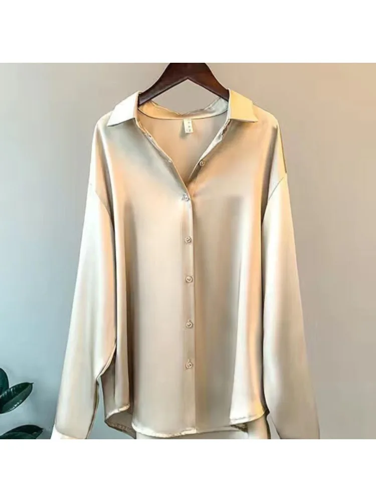 Plus Size Casual Women Silk Sh - Silk Blouse recension och pris